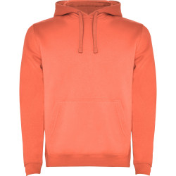 Sweatshirt capuche molletonné