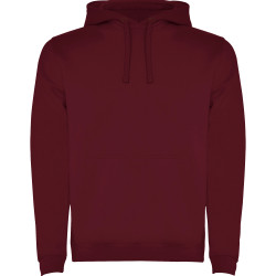 Sweatshirt capuche molletonné