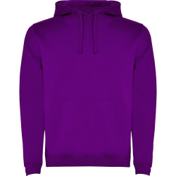 Sweatshirt capuche molletonné