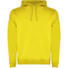 Sweatshirt capuche molletonné
