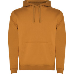Sweatshirt capuche molletonné