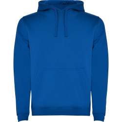 Sweatshirt capuche molletonné