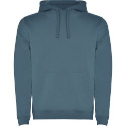 Sweatshirt capuche molletonné