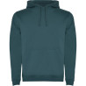 Sweatshirt capuche molletonné