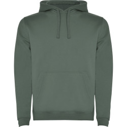 Sweatshirt capuche molletonné